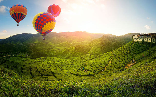 Cameron Highlands Cameron Highlands